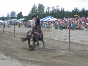 2007106Falardeau2008