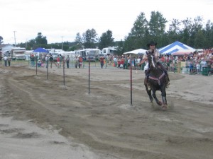 2007107Falardeau2008