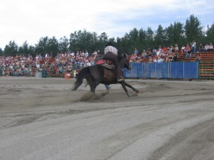 2007112Falardeau2008