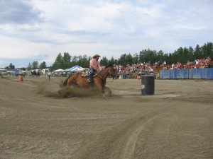 2007126Falardeau2008