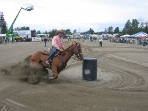 2007133Falardeau2008