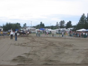 2007141Falardeau2008