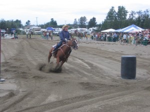 2007186Falardeau2008