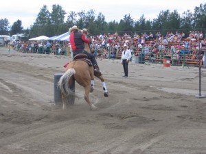 2007192Falardeau2008