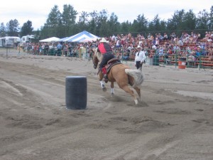 2007193Falardeau2008