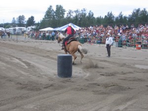 2007194Falardeau2008