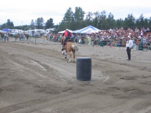 2007195Falardeau2008