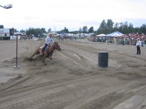 2007197Falardeau2008