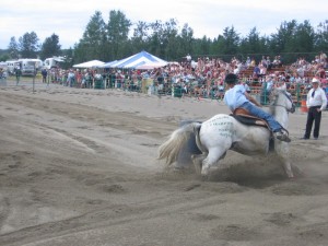 2007232Falardeau2008