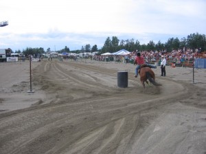 2007235Falardeau2008