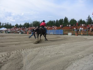 2007270Falardeau2008