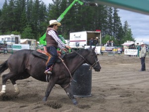 2007300Falardeau2008