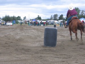 2007306Falardeau2008