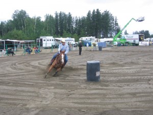 2007315Falardeau2008