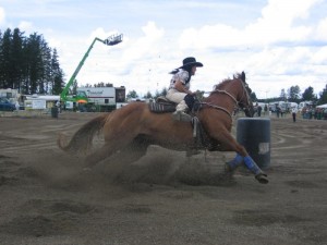 200743Falardeau2008