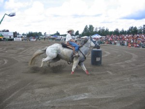 200746Falardeau2008